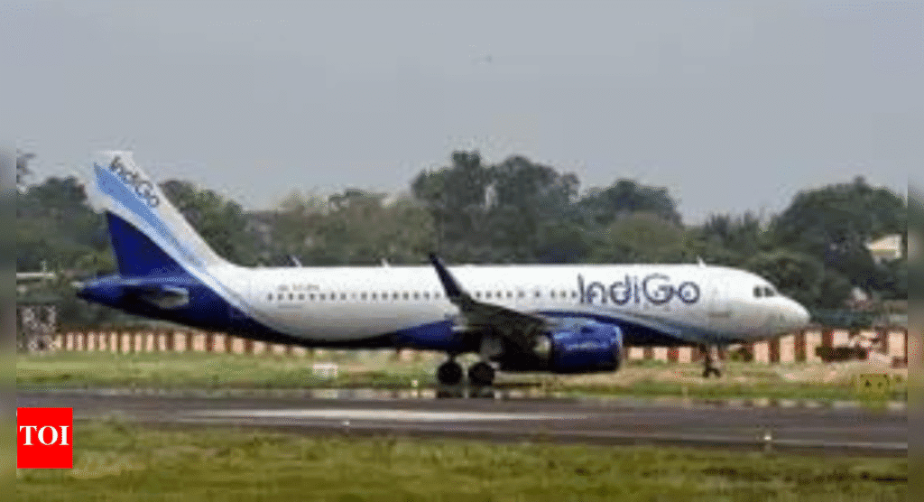 Bomb Threat on IndiGo Flight to Bengaluru: Canadian Passenger Detained