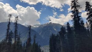 Pahalgam Terror Attack Devastates Kashmir's Tourism Industry