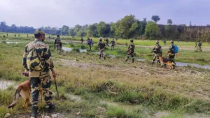 50 Terrorists Stopped: BSF Foils Pakistan-backed Infiltration Attempt in J&K