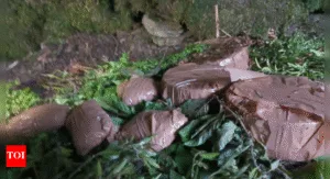 Army Discovers Terrorist Hideout in J&K's Poonch