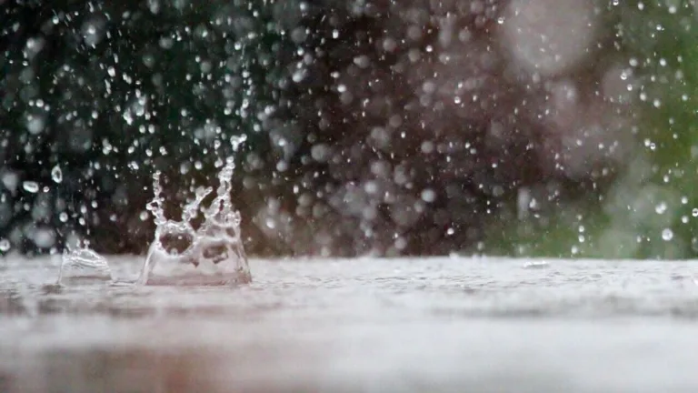 Delhi Weather: Relief from Heat, but Rain and Winds Expected