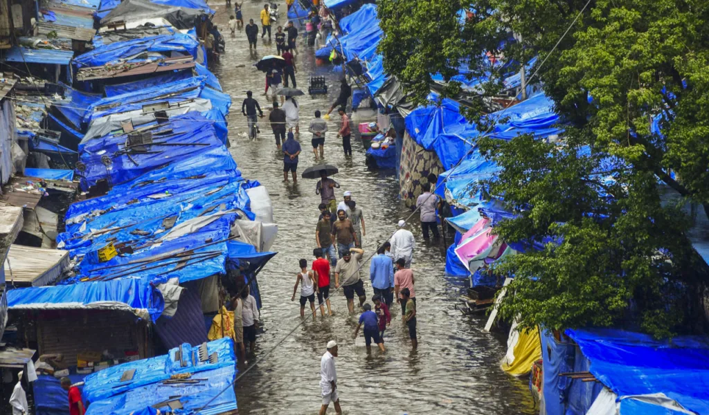 Heavy Rains Devastates Palghar: Over 9,000 Farmers and Fishermen Need Help