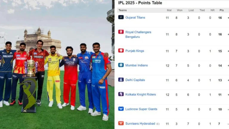 IPL 2025 Playoff Scenarios: Who's in and Who's Out?