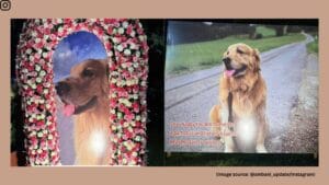 Mukesh Ambani's Pet Dog Happy Dies, Family Mourns Loss
