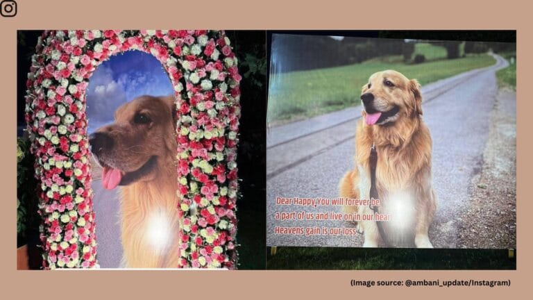 Mukesh Ambani's Pet Dog Happy Dies, Family Mourns Loss